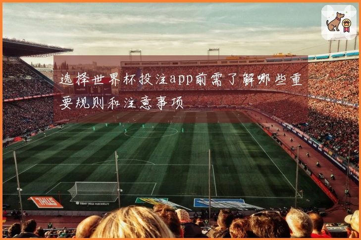 选择世界杯投注app前需了解哪些重要规则和注意事项