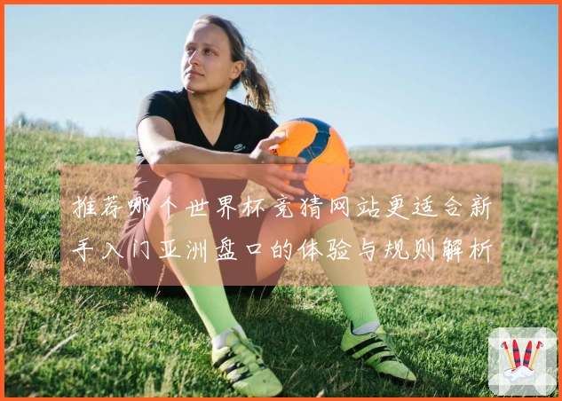 推荐哪个世界杯竞猜网站更适合新手入门亚洲盘口的体验与规则解析