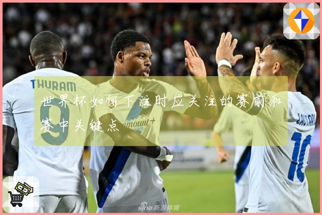 世界杯如何下注时应关注的赛前和赛中关键点