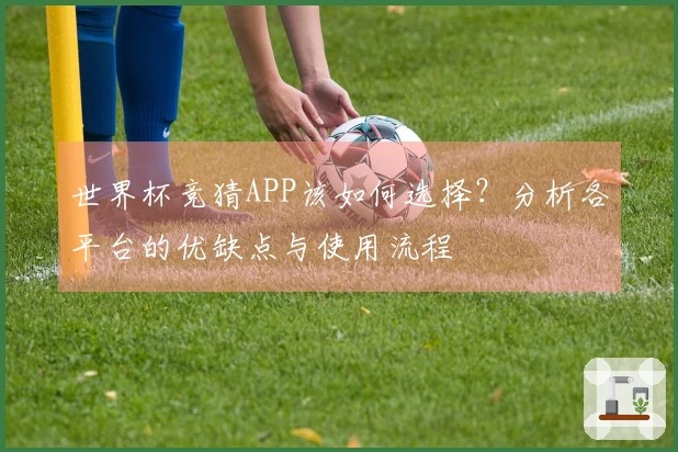 世界杯竞猜APP该如何选择？分析各平台的优缺点与使用流程