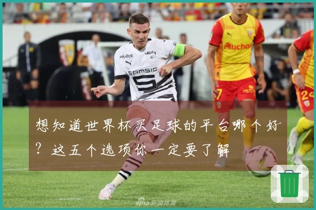 想知道世界杯买足球的平台哪个好？这五个选项你一定要了解