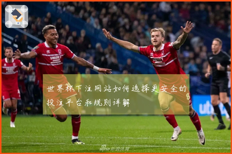 世界杯下注网站如何选择更安全的投注平台和规则详解