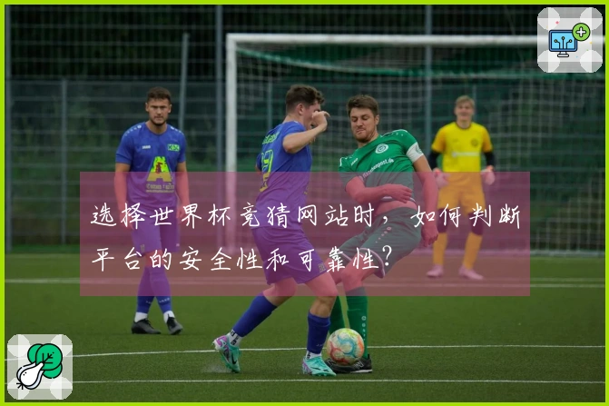 选择世界杯竞猜网站时，如何判断平台的安全性和可靠性？