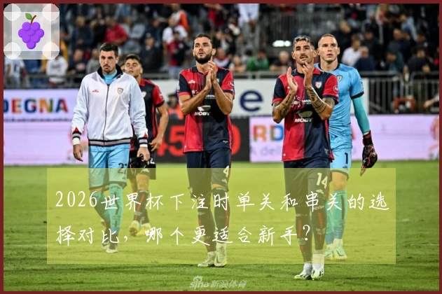 2026世界杯下注时单关和串关的选择对比，哪个更适合新手？