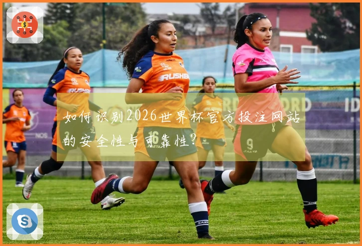 如何识别2026世界杯官方投注网站的安全性与可靠性？