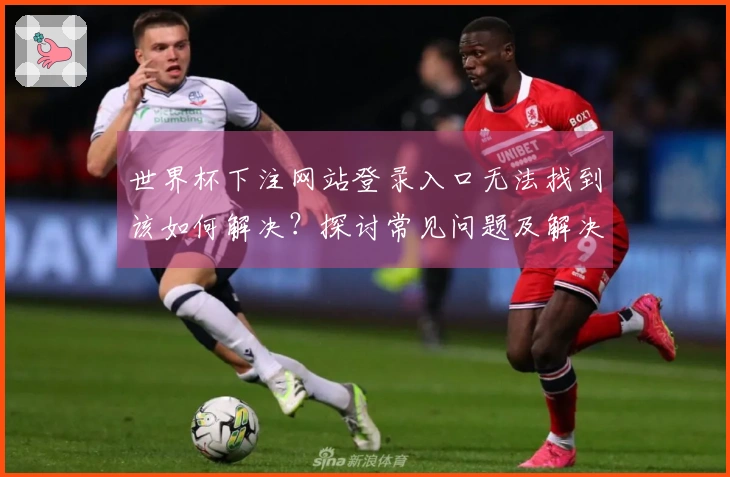 世界杯下注网站登录入口无法找到该如何解决？探讨常见问题及解决流程