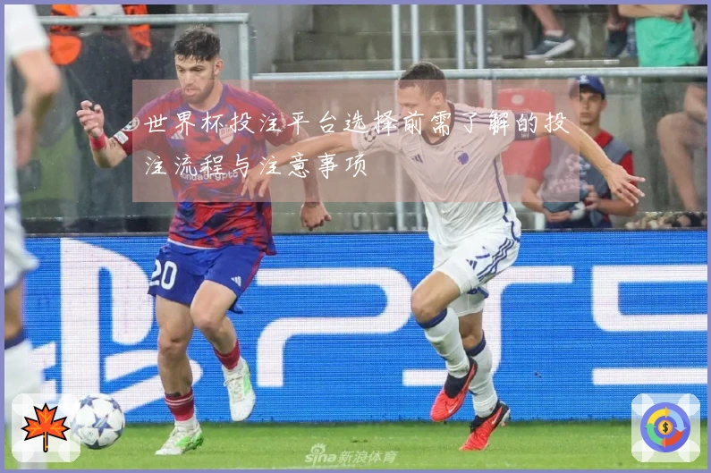世界杯投注平台选择前需了解的投注流程与注意事项