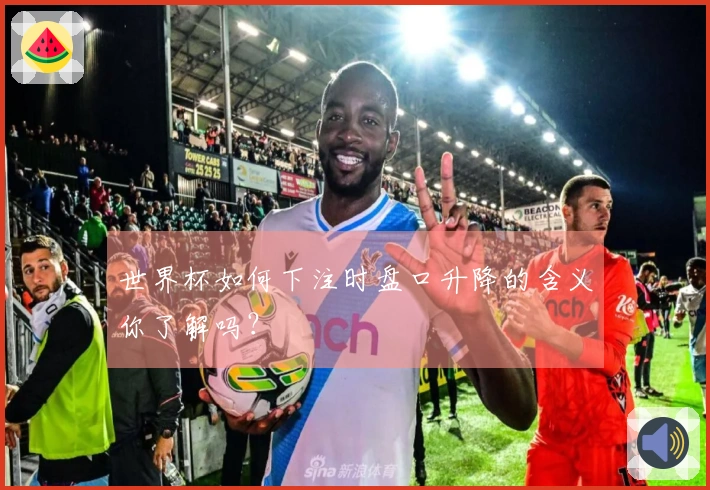 世界杯如何下注时盘口升降的含义你了解吗？