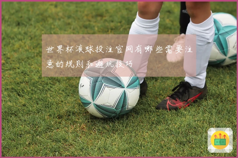 世界杯滚球投注官网有哪些需要注意的规则和避坑技巧