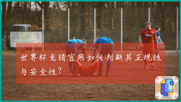 世界杯竞猜官网如何判断其正规性与安全性？