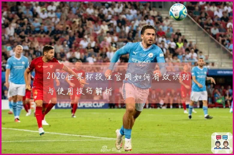 2026世界杯投注官网如何有效识别与使用技巧解析