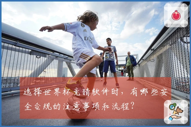 选择世界杯竞猜软件时，有哪些安全合规的注意事项和流程？