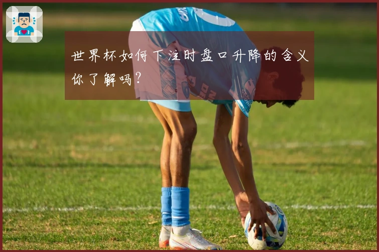 世界杯如何下注时盘口升降的含义你了解吗？