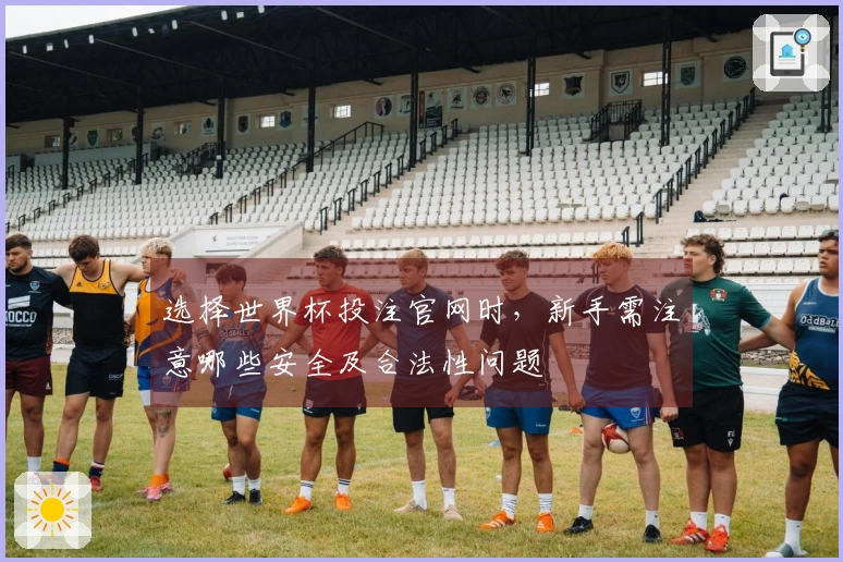 选择世界杯投注官网时，新手需注意哪些安全及合法性问题