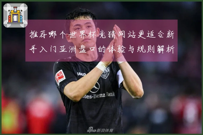 推荐哪个世界杯竞猜网站更适合新手入门亚洲盘口的体验与规则解析