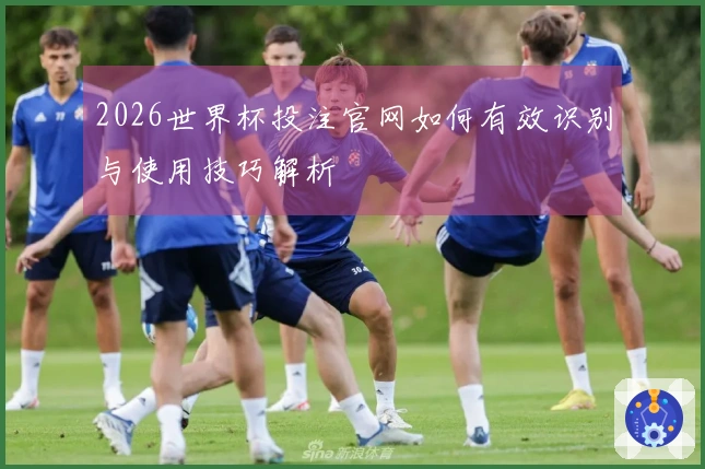 2026世界杯投注官网如何有效识别与使用技巧解析