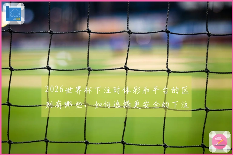 2026世界杯下注时体彩和平台的区别有哪些，如何选择更安全的下注方式