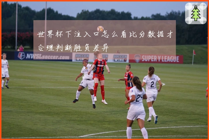 世界杯下注入口怎么看比分数据才合理判断胜负差异