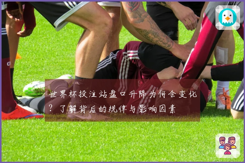 世界杯投注站盘口升降为何会变化？了解背后的规律与影响因素