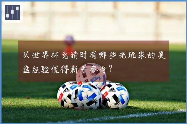 买世界杯竞猜时有哪些老玩家的复盘经验值得新手参考？