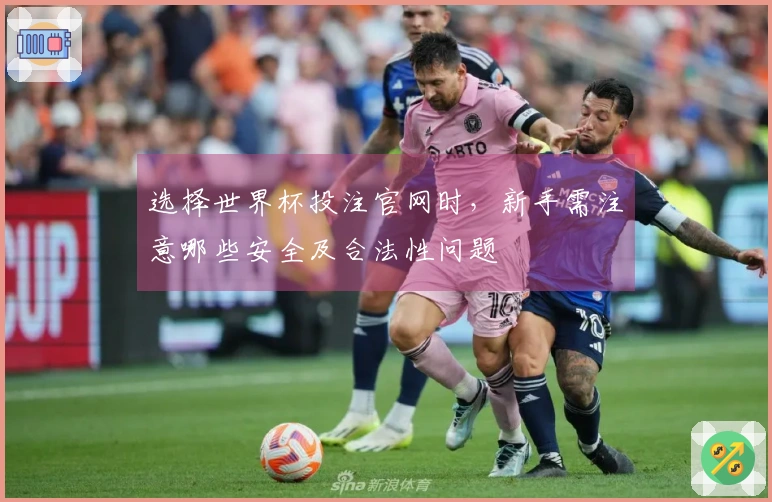 选择世界杯投注官网时，新手需注意哪些安全及合法性问题