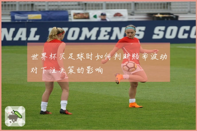 世界杯买足球时如何判断赔率波动对下注决策的影响