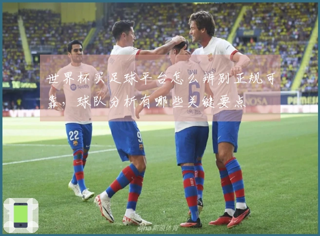 世界杯买足球平台怎么辨别正规可靠，球队分析有哪些关键要点