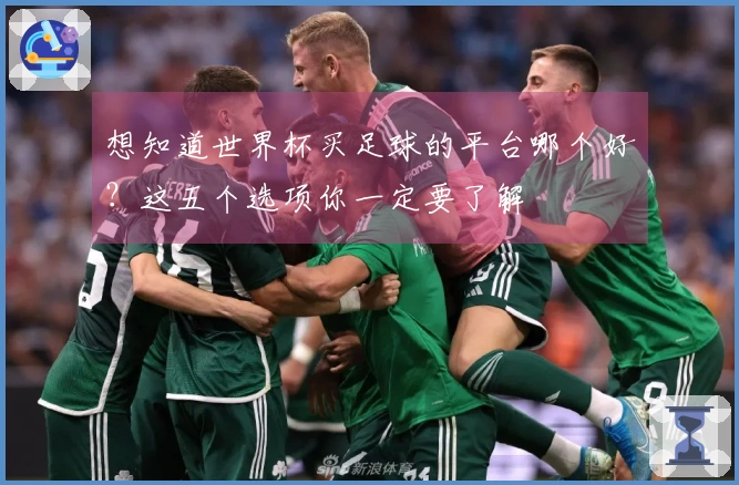 想知道世界杯买足球的平台哪个好？这五个选项你一定要了解