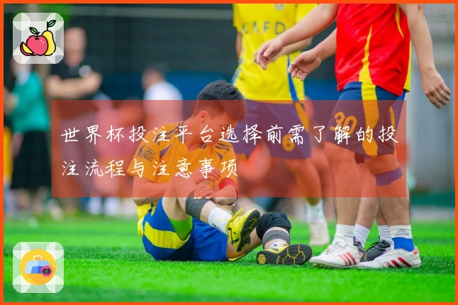 世界杯投注平台选择前需了解的投注流程与注意事项