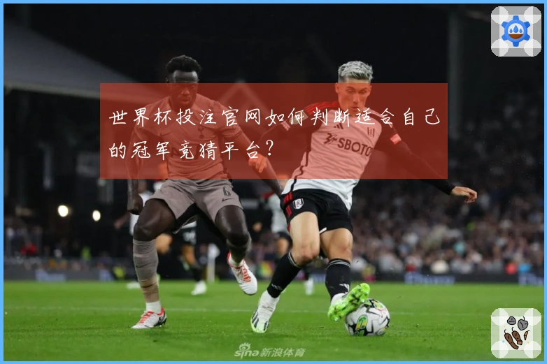 世界杯投注官网如何判断适合自己的冠军竞猜平台？
