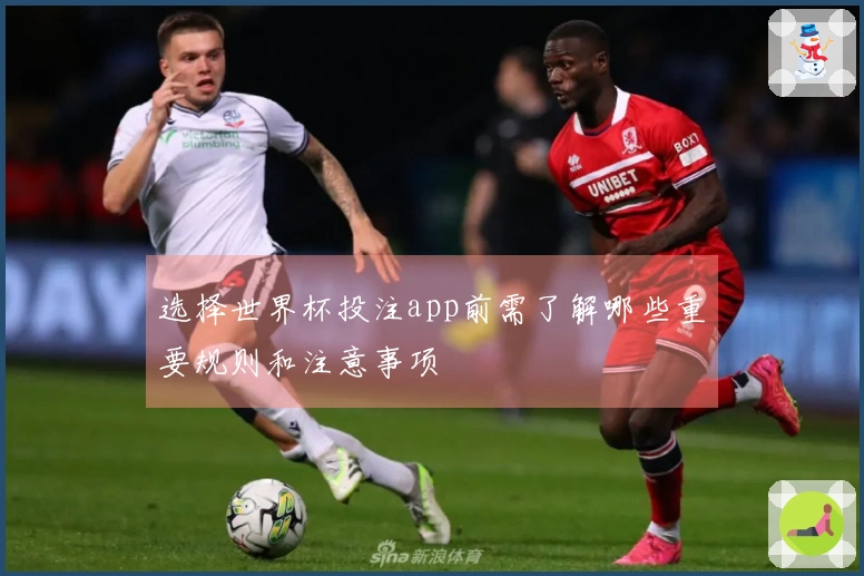 选择世界杯投注app前需了解哪些重要规则和注意事项