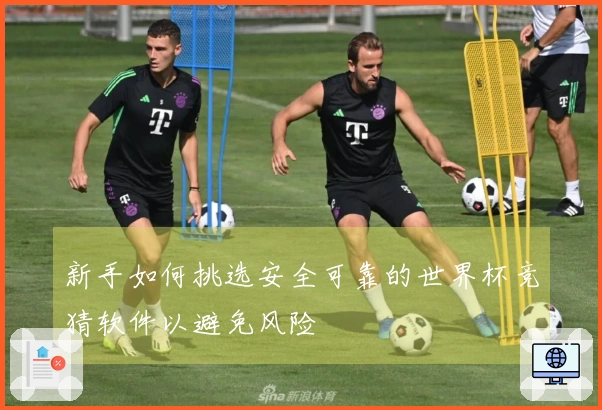 新手如何挑选安全可靠的世界杯竞猜软件以避免风险