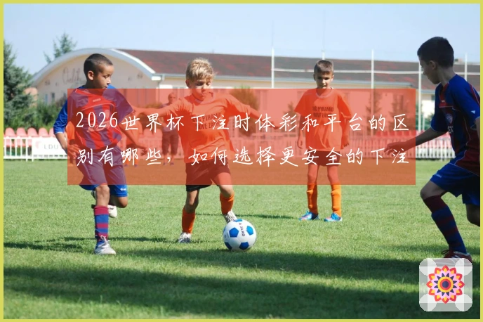 2026世界杯下注时体彩和平台的区别有哪些，如何选择更安全的下注方式