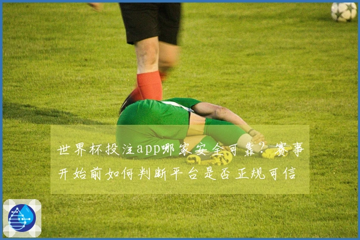 世界杯投注app哪家安全可靠？赛事开始前如何判断平台是否正规可信