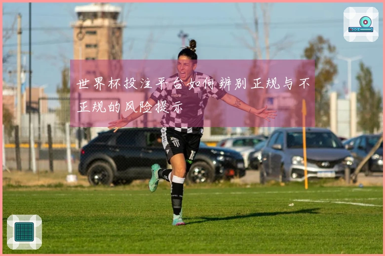 世界杯投注平台如何辨别正规与不正规的风险提示