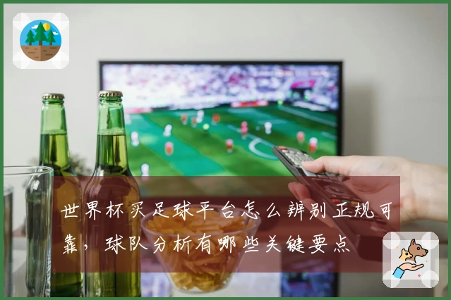 世界杯买足球平台怎么辨别正规可靠，球队分析有哪些关键要点